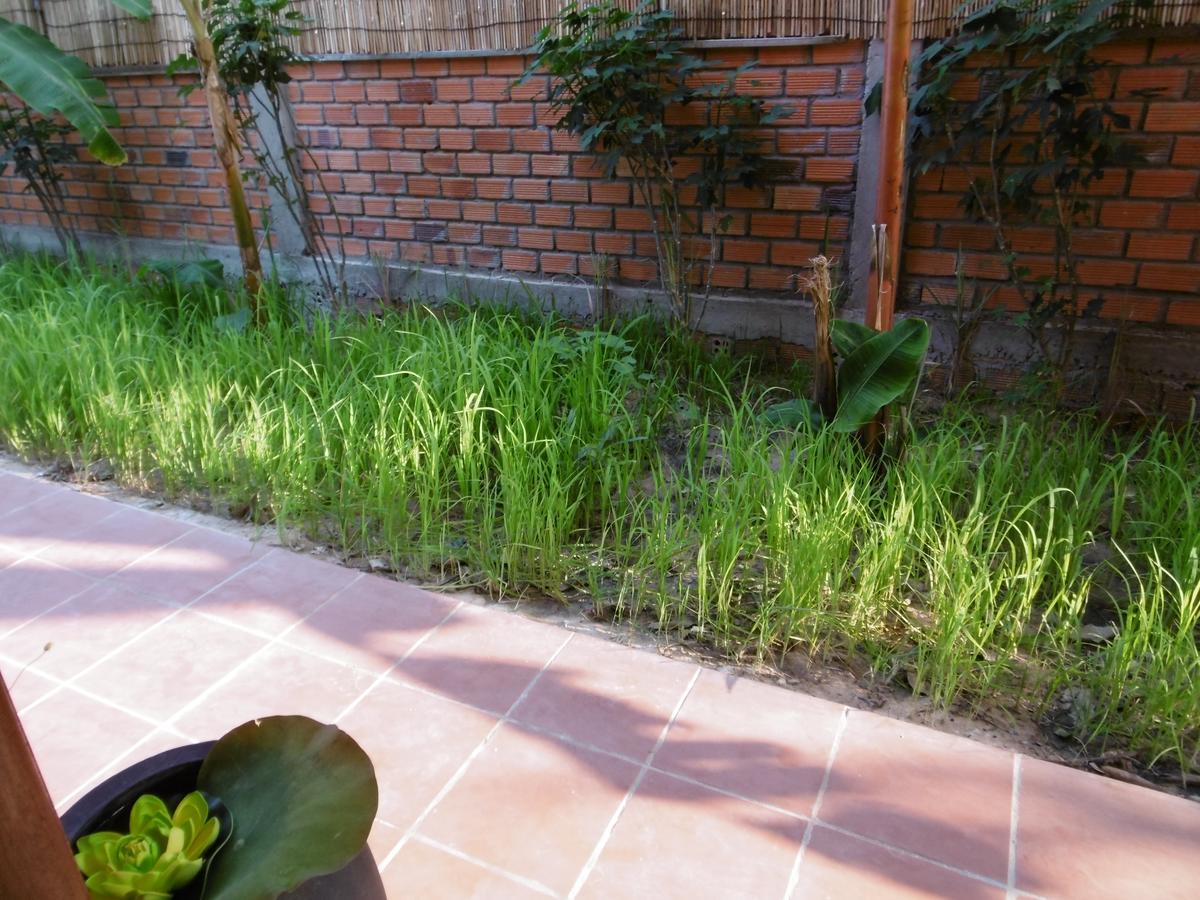 Andre Boutique Villa เสียมราฐ ภายนอก รูปภาพ