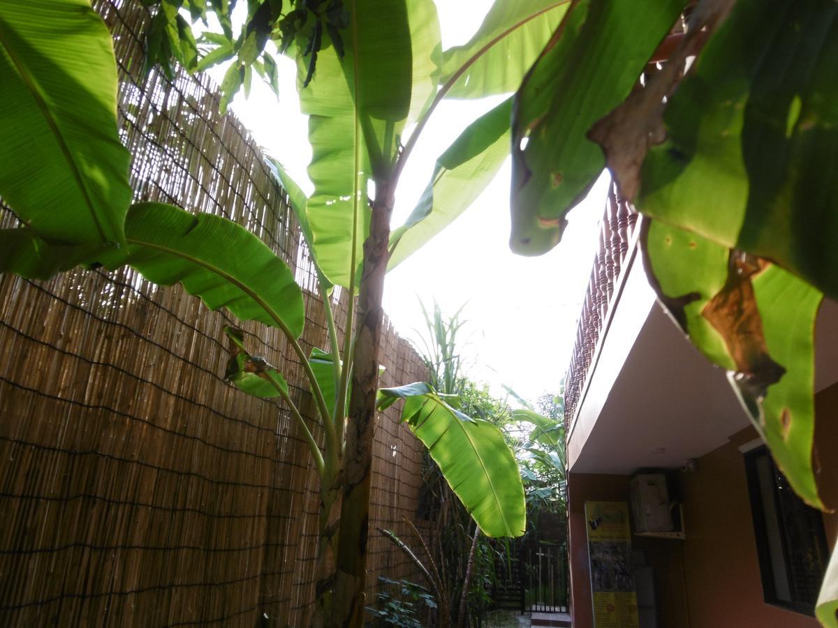 Andre Boutique Villa เสียมราฐ ภายนอก รูปภาพ