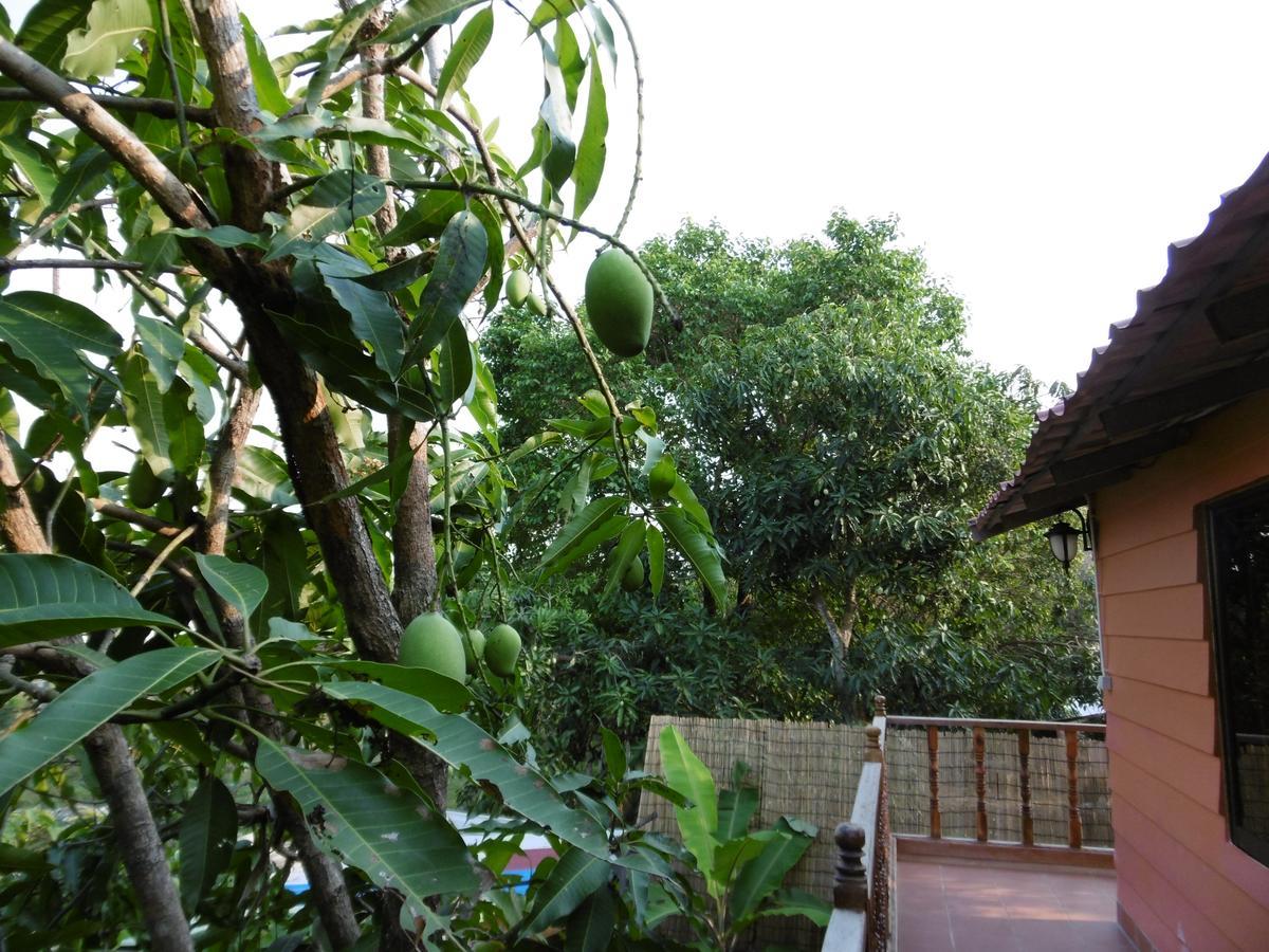 Andre Boutique Villa เสียมราฐ ภายนอก รูปภาพ
